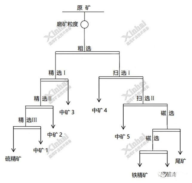 鐵精粉脫硫試驗項目流程圖