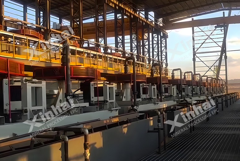 津巴布韋鋰礦項目：200萬t/a鋰礦選廠