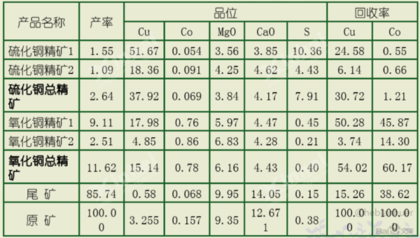 全流程閉路試驗結果